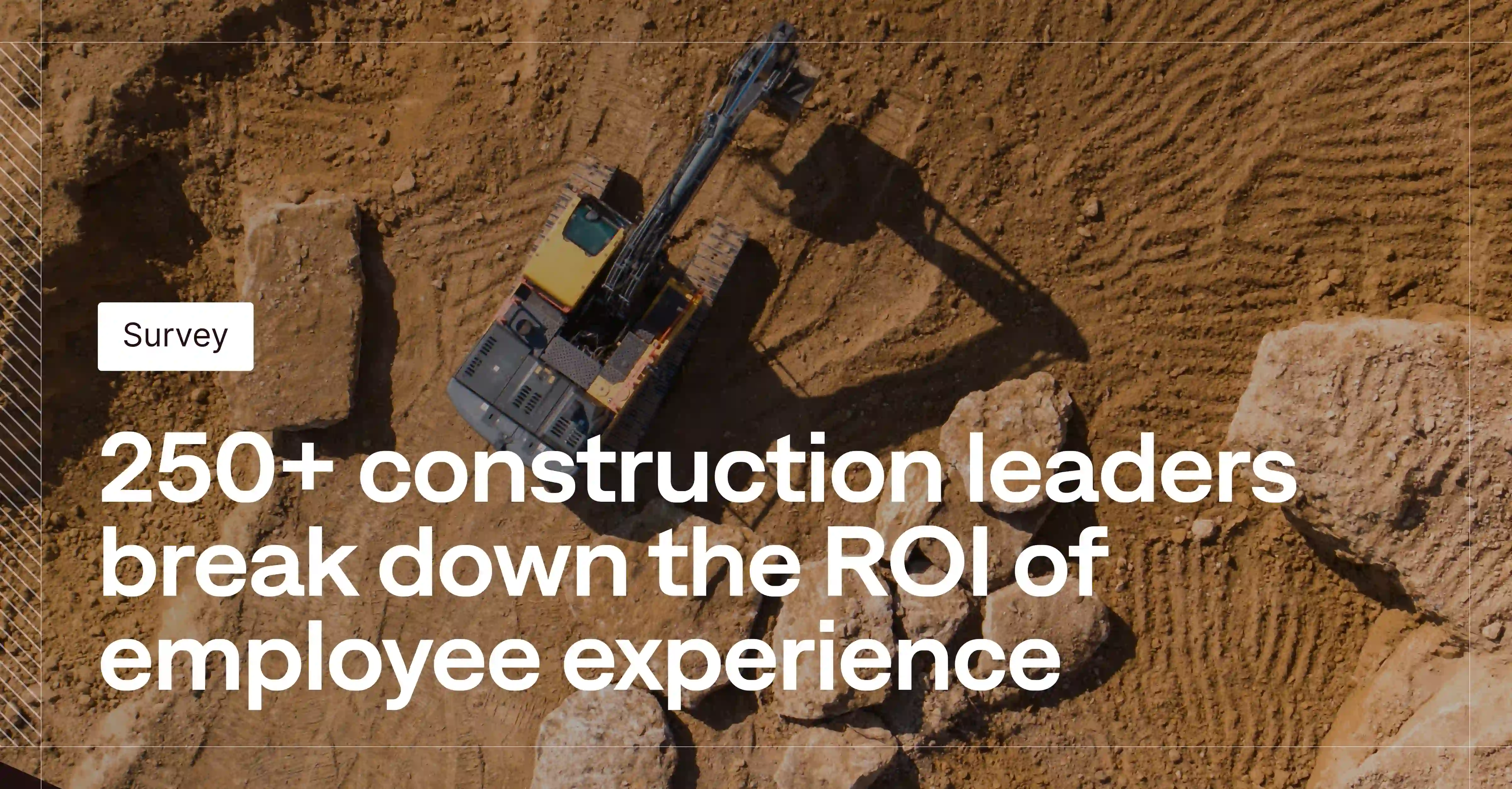Employee Experience: The Key to Retention and ROI
